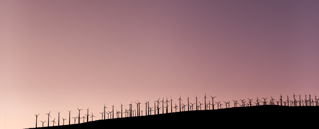 wind farm