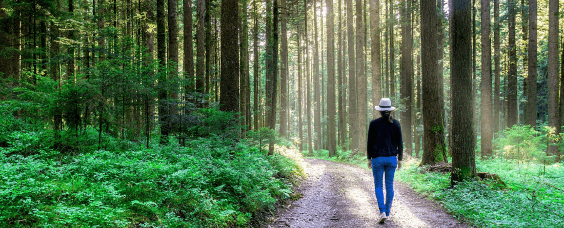 Person walking amongst nature