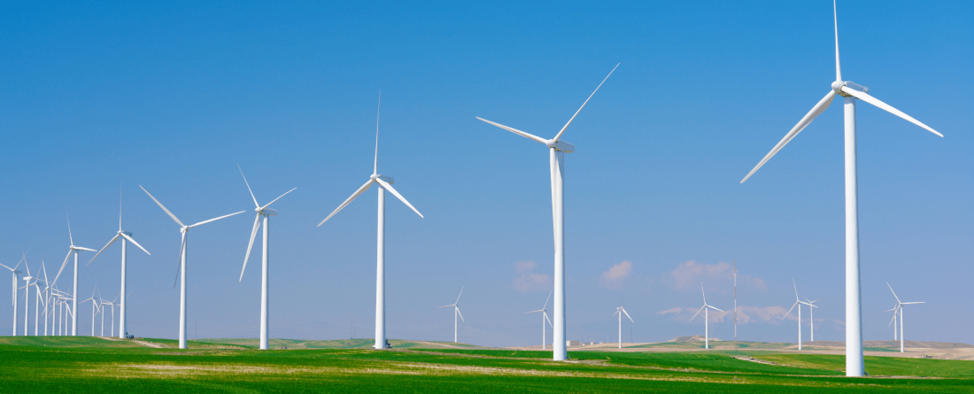 picture of windmills