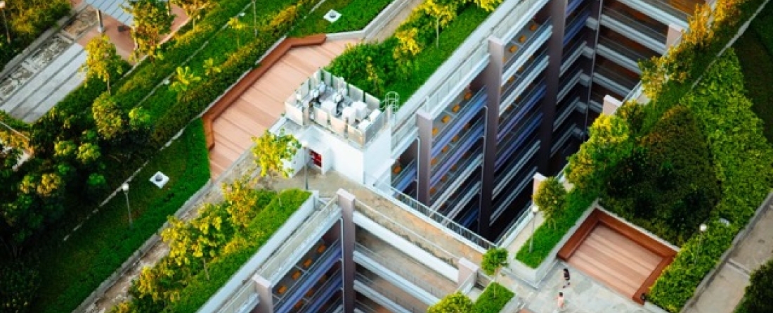 picture of green roof