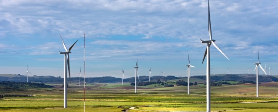 wind farms