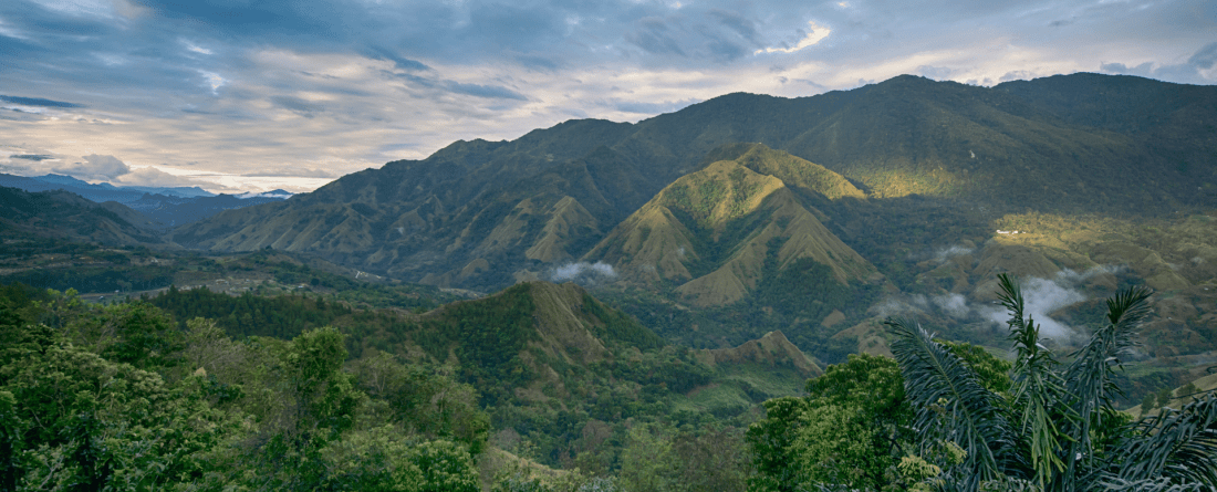 picture of mountains and trees