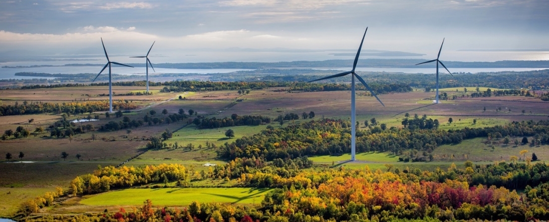 picture of a wind farm